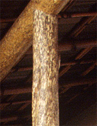 Detail of Pillar