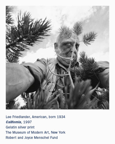 Lee Friedlander, American, born 1934, California, 1997, Gelatin silver print, Robert and Joyce Menschel Fund, MoMA