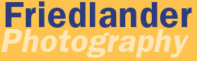 Friedlander: Photography logo