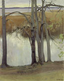 Lake Shore with Reeds , Eero Järnefelt, 1905