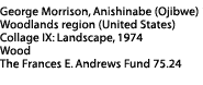 Morrison Collage Label: George Morrison, Anishinabe (Ojibwe) 1919-2000, Woodlands region (United States), Collage IX: Landscape, 1974, Wood, The Frances E. Andrews Fund  75.24