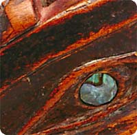 Close-up image of abalone showing eyes and smoothness of surface